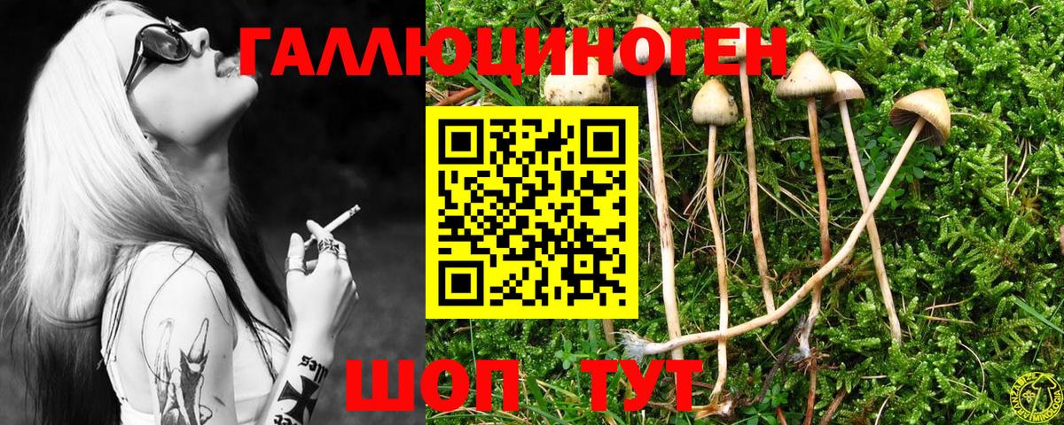 Феодосия  купить   Псилоцибиновые грибы Magic Shrooms  Вход с VPN  Галлюциногенные грибы MAGIC MUSHROOMS 